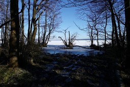  Uferpartie bei Quetzin im Winter 
