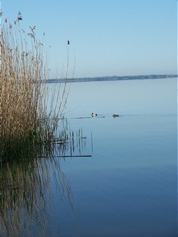  Lake Balaton 