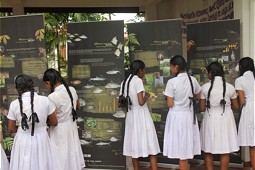  School children in the environmental education center in Sri Lanka 