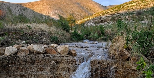  Water for the Jordan Valley 