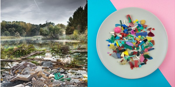  Mikroplastik – vom See direkt auf den Teller? 