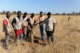  Planting indigenous tree species is part of the project
© GNF 