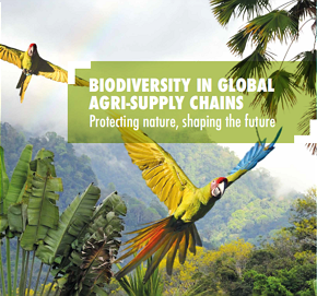  The brochure provides an overview of all relevant information on biodiversity protection along the food supply chain. 