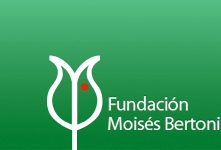  Logo Fundación Moisés Bertoni 
