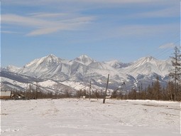  Landscape in winter 