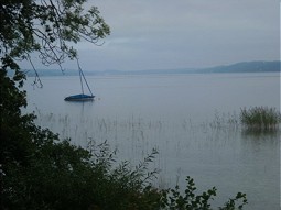  Uferbereich am Starnberger See 