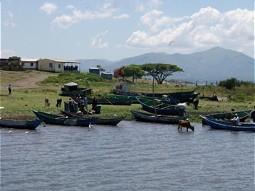  Shore line at Lake Victoria 