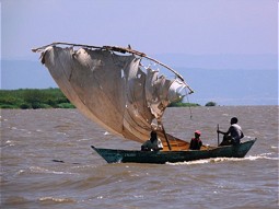  Sailing boat at Lake Victoria 
