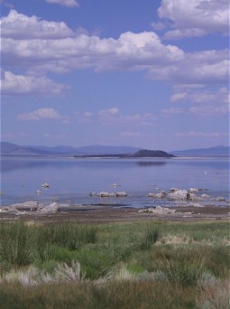  Uferlandschaft am Mono Lake 