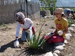  Children cultivate native plant species. 