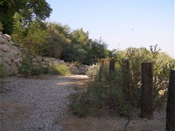  Ecological garden in Ein Gedi. 