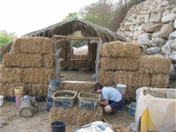  Bau einer Lehmhütte im Park Ein Gedi. 