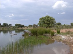  Ponds of Talaván 