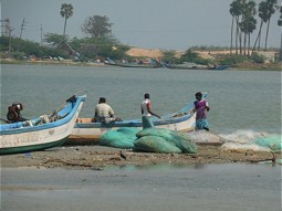  Fishermen at the Pulicat Lagoon 