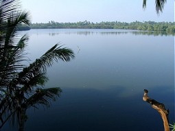  Maduganga Wetland, Sri Lanka 