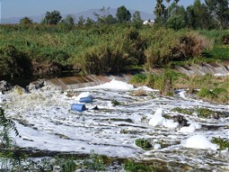  Der stark verschmutzte Santiago River 