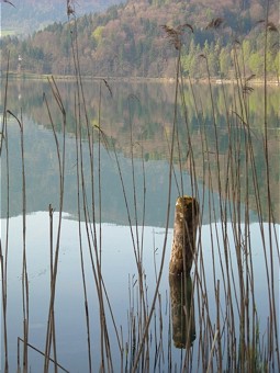  Lake Bled in Slowenien 