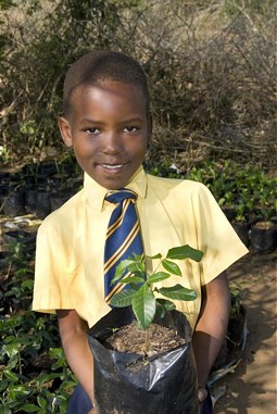  Project "Trees for Life", South Africa 