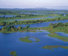  Aerial photo of a part of the Pantanal Wetland 