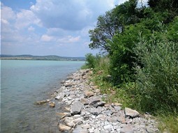  Ufer des Plattensees 