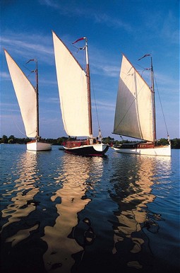  Sailing boats at the Broads in Great Britain 