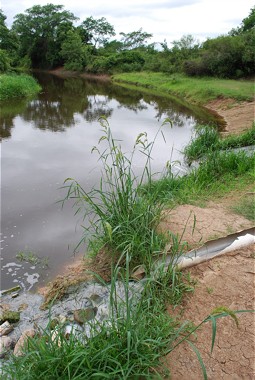  Situation vor dem Bau des Grünfilters: Abwässer gelangen ungeklärt in den Fluss. 