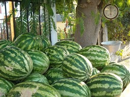  Water melons - Impresssions of Greece 