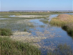  La Nava Wetlands 