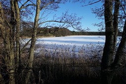  Bucht im Nordwesten des Sees "Leister Lanke" im Winter 