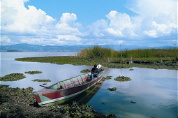  Fischer in seinem Boot auf dem Fúquene-See. 