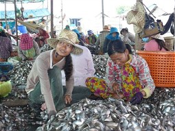  Fischverarbeitung am Tonle Sap See 
