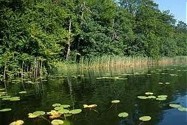  Uckermärkische Seen 