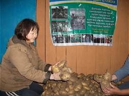  Kartoffeln aus dem eigenen Anbau  
