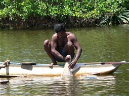  Fischer in Sri Lanka 