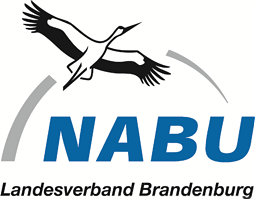  Logo NABU Landesverband Brandenburg 