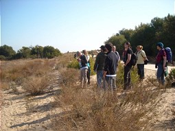 Trip field in the dune system of Devesa del Saler 
