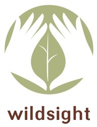  Logo Wildsight 