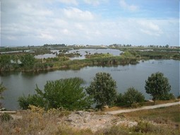  Wetlands near Valencia 