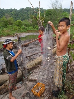  Jungen beim traditionellen Fischfang
Foto: Mangrove Action Project (MAP), Thailand 