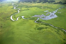  Skeena Downstream 