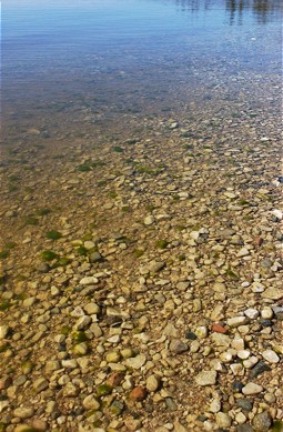  Clear water in Lake Winnipeg 