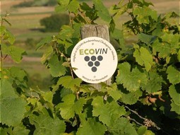  ECOVIN implements sustainability in the vineyard. 