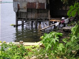  House at the shore line of Lake Sampaloc 