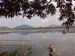  Fischkäfige und natürliche Landschaft am Sampaloc See 