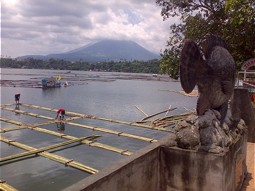  Fish cages in Lake Sampaloc 