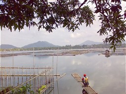  Schwimmende Fischkäfige im Sampaloc See 