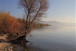  Shoreline of Lake Egirdir 