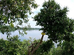  Maduganga Wetlands in Sri Lanka 