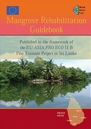  Ratgeber zur Wiederanpflanzung von Mangroven 