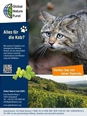  GNF-Freianzeige Wildkatze 